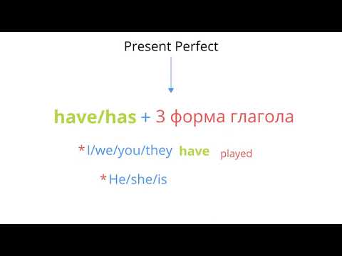 Составляем предложения в Present Perfect