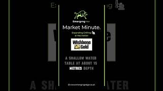 Wishbone Gold – Expanding Drilling at Red Setter