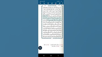 سورة النساء اية(١٠٩)