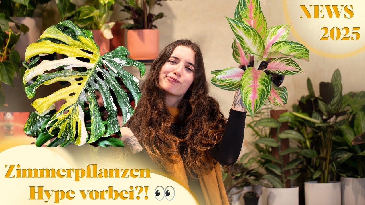 PFLANZENTRENDS 2025   Variegata Hype oder back to basics?