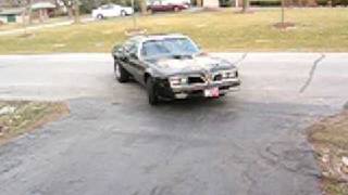 77 Trans am 468 BBc 638 horse