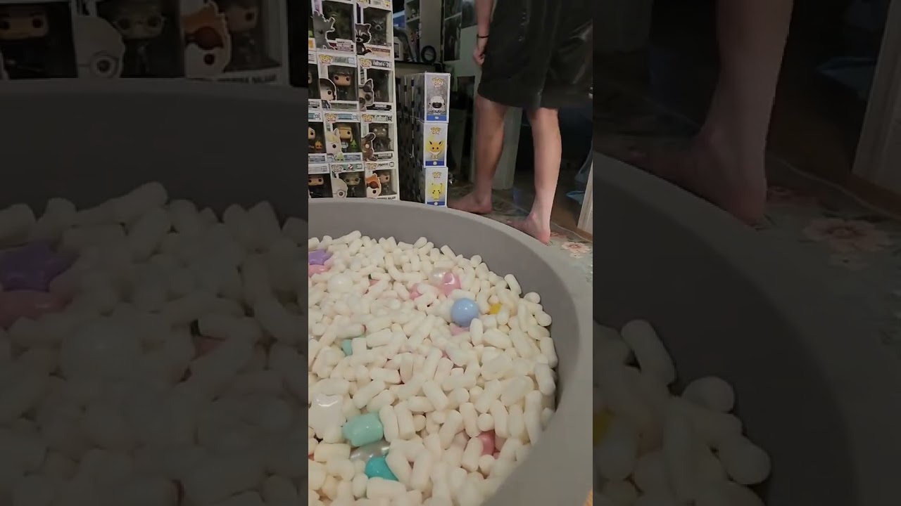 The Cats Are Not Amused By Ferret Zoomies