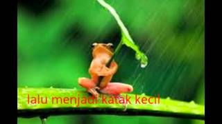 Tutorial Perbedaan  Daur Hidup Katak Dengan Kecoa 