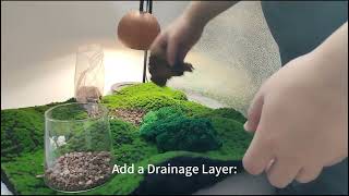 Creating A Terrarium Is A Fun And Rewarding Project For Beginners Heres A Simple Step-By-Step
