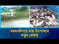 মাছ চাষের খরচ বাড়ায় হাসি নেই চাষীদের মুখে | Mymensingh | Fish production | Rtv News
