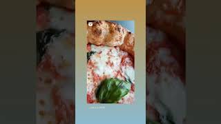 La Mia Pizza Napoletana Contemporanea Alta Idratazione