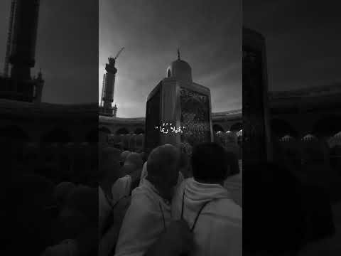 أروي لكم عن قصة للمصطفى Shorts 