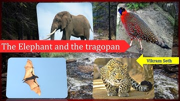 The Elephant and the Tragopan