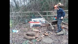 Makita DCS4610. Overview & Cutting with this impressive home user 45cc chainsaw. Lovely engine.