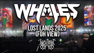 Whales Lost Lands 2025 (FOH View)