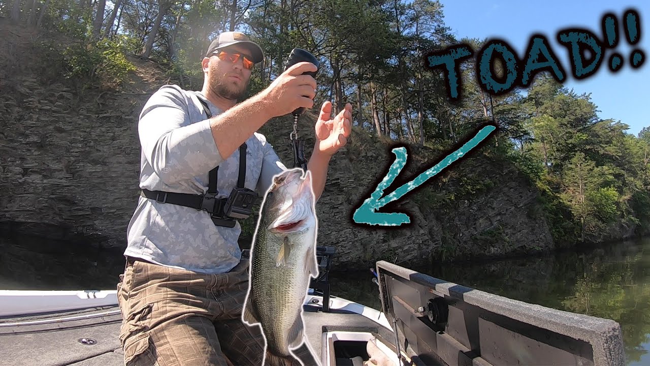 JUNE Largemouth Bass FISHING!