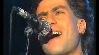 Video thumbnail of "Svegliati - MODULAZIONE - Live Auftritt NDR - Sendung: Haste Töne 1987"