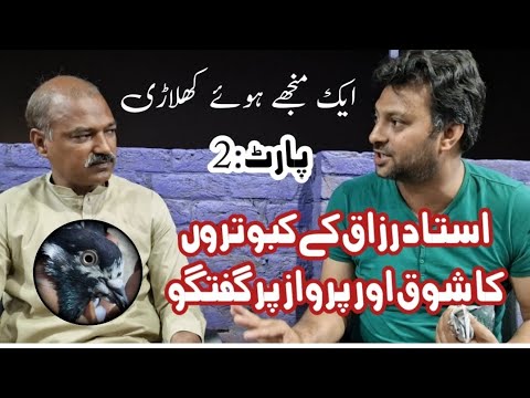 Ustad Razzaq Amazing Birds And Experienced Discussion About Flying ustad-razzaq-amazing-birds-and-experienced-discussion-about-flying
