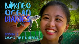 Sabah’s Turtle Islands - the best in SE Asia [4K] | Borneo Ocean Diaries (S01E05) | SZtv