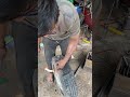 Tubeless tyer pompsar #automobile #tyer #reels #repair #youtubeshorts