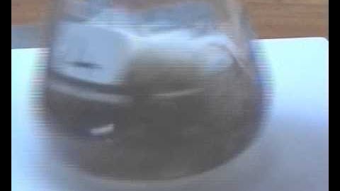 Iodination of propanone rate equation expt