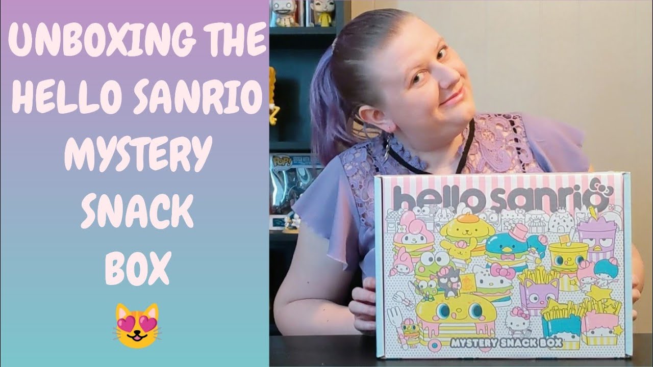 Sanrio Mystery Snack Box