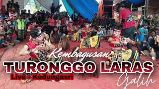 Jaranan Kembagusan Turonggo Laras live Kedungasri, Ringinarum