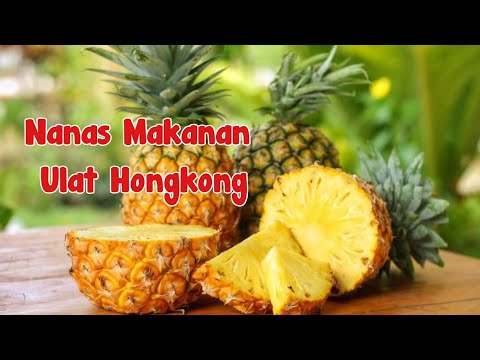 Video: Memberi Makan Bawang Putih Dengan Abu: Bolehkah Anda Memberi Makan Pada Bulan Jun? Menyiram Tempat Tidur Dengan Penyelesaian. Bagaimana Mencairkan Abu Untuk Infusi Dengan Betul?