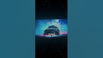 سورة آل عمران|159|القارئ:#محمد_اللحيدان #قران #quran #راحة_نفسية #قران_كريم #تلاوة_هادئة#تلاوة_خاشعة