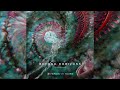 Psychill  beyond horizons compiled by sunduo full album