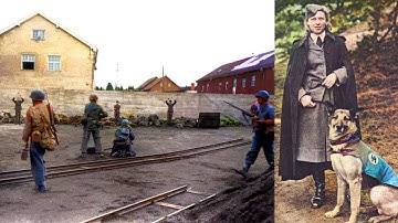 De executie van de vrouwelijke garde van de Ohrdruf-bevrijdingsrepresailles
