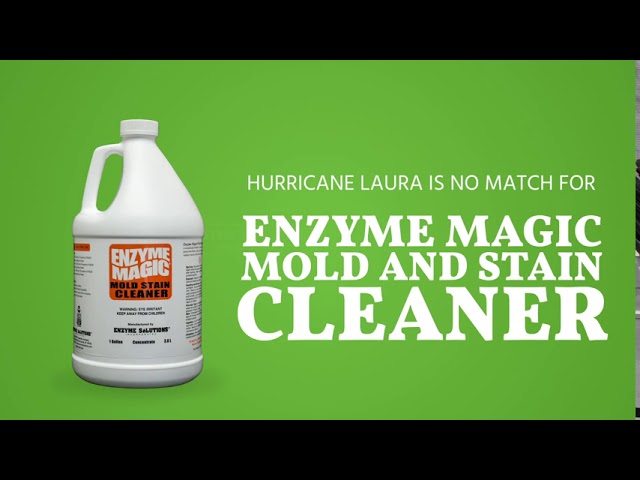 The Life Changing Magic of ENZYME CLEANERS! 🐱 Get Rid of Cat Pee Smell! 