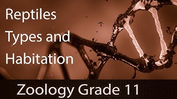 Animal Kingdom | Class Reptilia (Reptiles) | Introduction | Key Adaptations | Types & Habitation