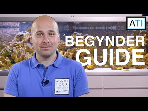 Begynder guide til akvariehobbyen - introduktion