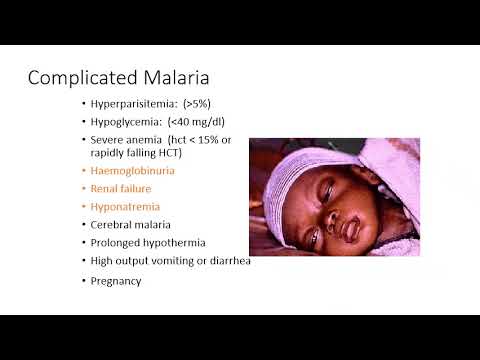 Video: Eliminering Af Intravaskulære Thrombi Forhindrer Tidlig Dødelighed Og Reducerer Gliose Ved Hyperinflammatorisk Eksperimentel Cerebral Malaria