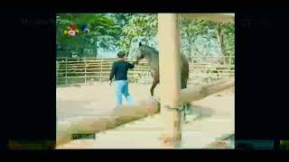 Vtv Ident Tết 2014 1