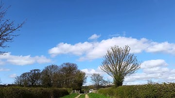 Drone Walkera Qr x350 pro Rtl 1.7 firmware