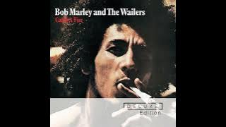 Bob Marley & The Wailers - Midnight Ravers (Original Album Version) 432 Hz