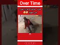 البيض Explore اكسبلور Dahkdz Funny تحشيش Shortsfeed ضحك تجميلاسنان كوميديات 