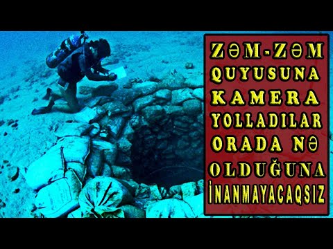 Video: Quyu suyu canlı sudurmu?