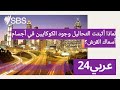 لماذا أثبتت التحاليل وجود الكوكايين في أجسام أسماك القرش SBS Arabic24 أس بي أس عربي۲٤