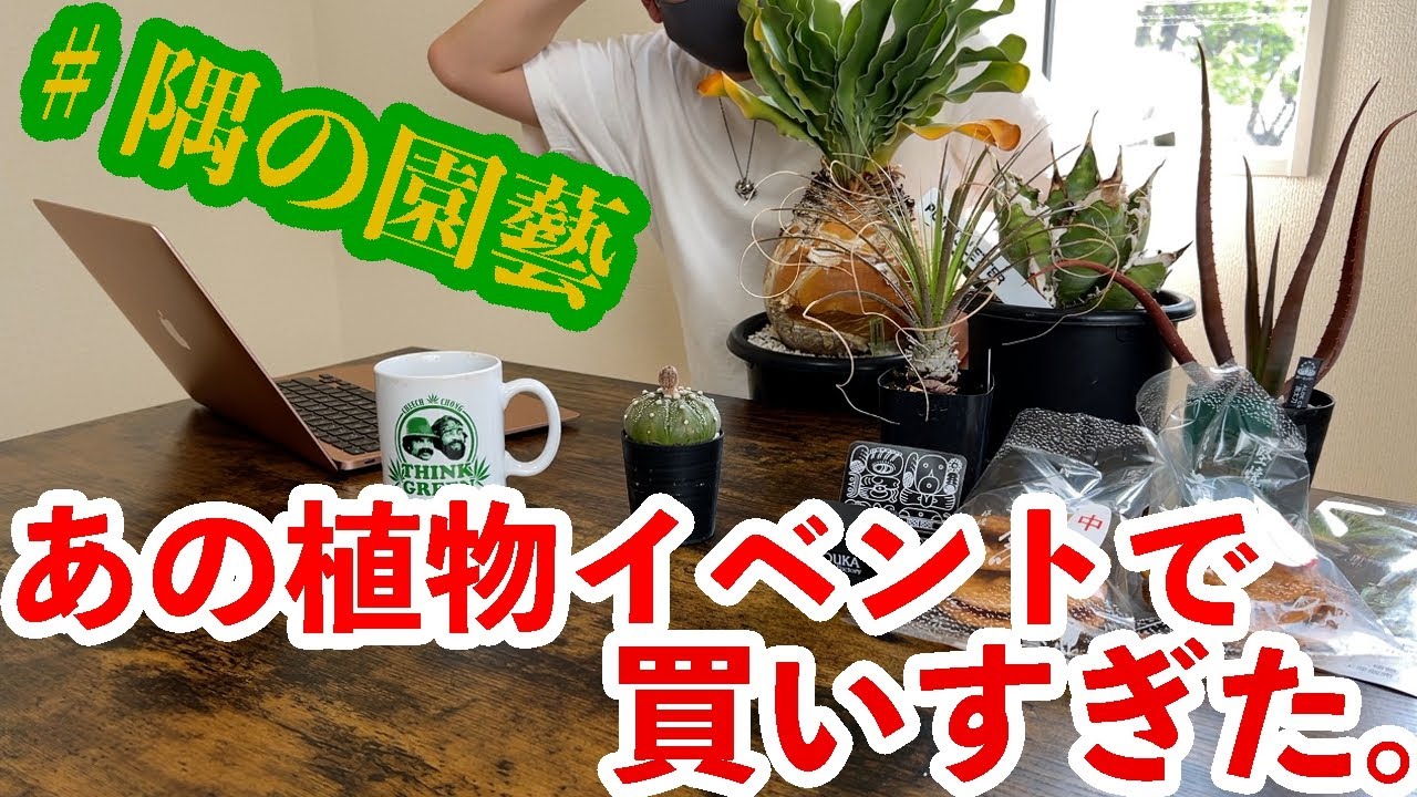 【珍奇植物】イベントで爆買い【アガべ】【塊根植物】【カトーエンゲー】【隅の園藝】【ビザールプランツ】【ブーファン】