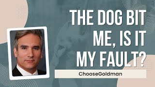 What [If The Dog Owner Says I Provoked The Dog] - ChooseGoldman.com