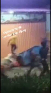story wa 30 detik desah