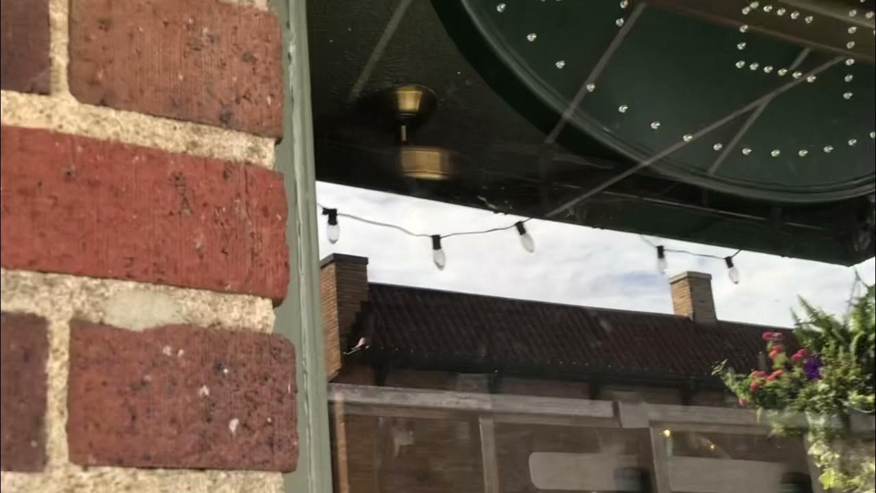 Hunter Summer Breeze/Mayfair 52” Ceiling Fan at Dundee Cork and Bottle