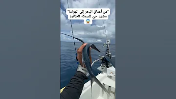 هو هو جنوني أغاني 2025 اغاني اغنية ترند موسيقى جديد 