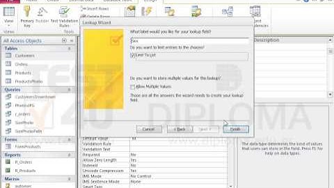 Insert one more field named Sex at the end of the Customers table that will allow only one of...