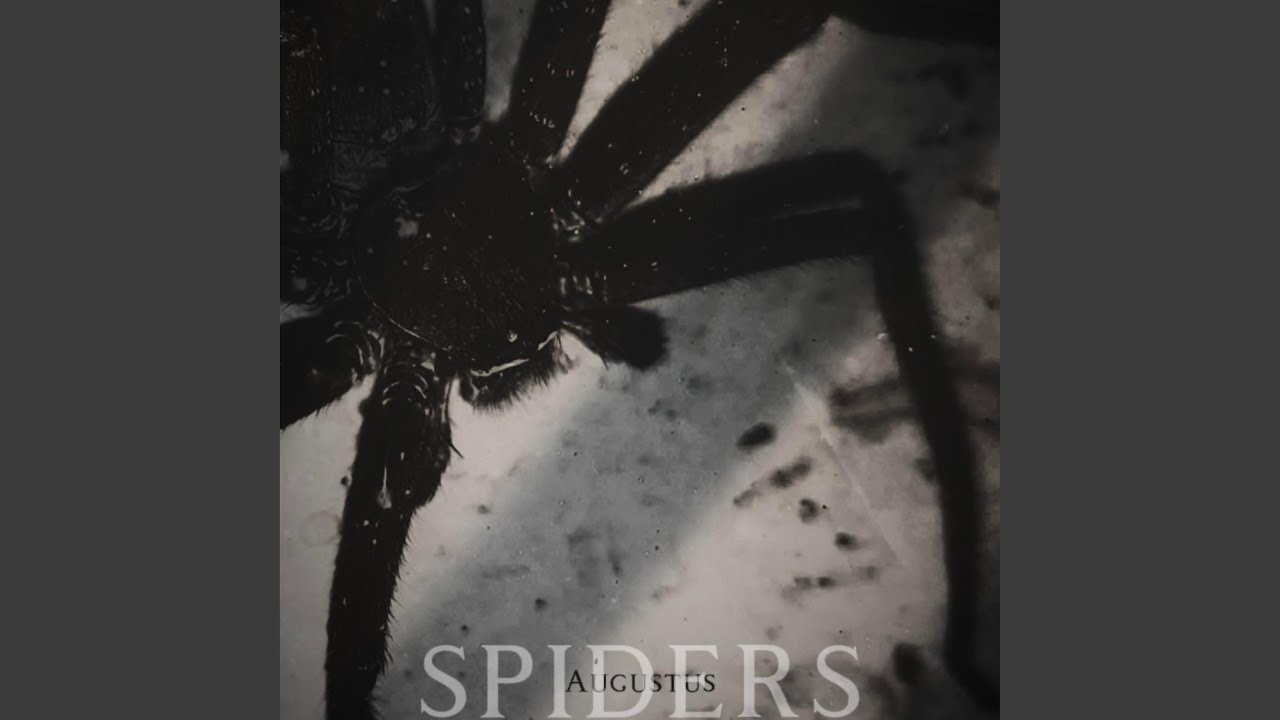 Guarda spiders su YouTube Guarda spiders su YouTube
