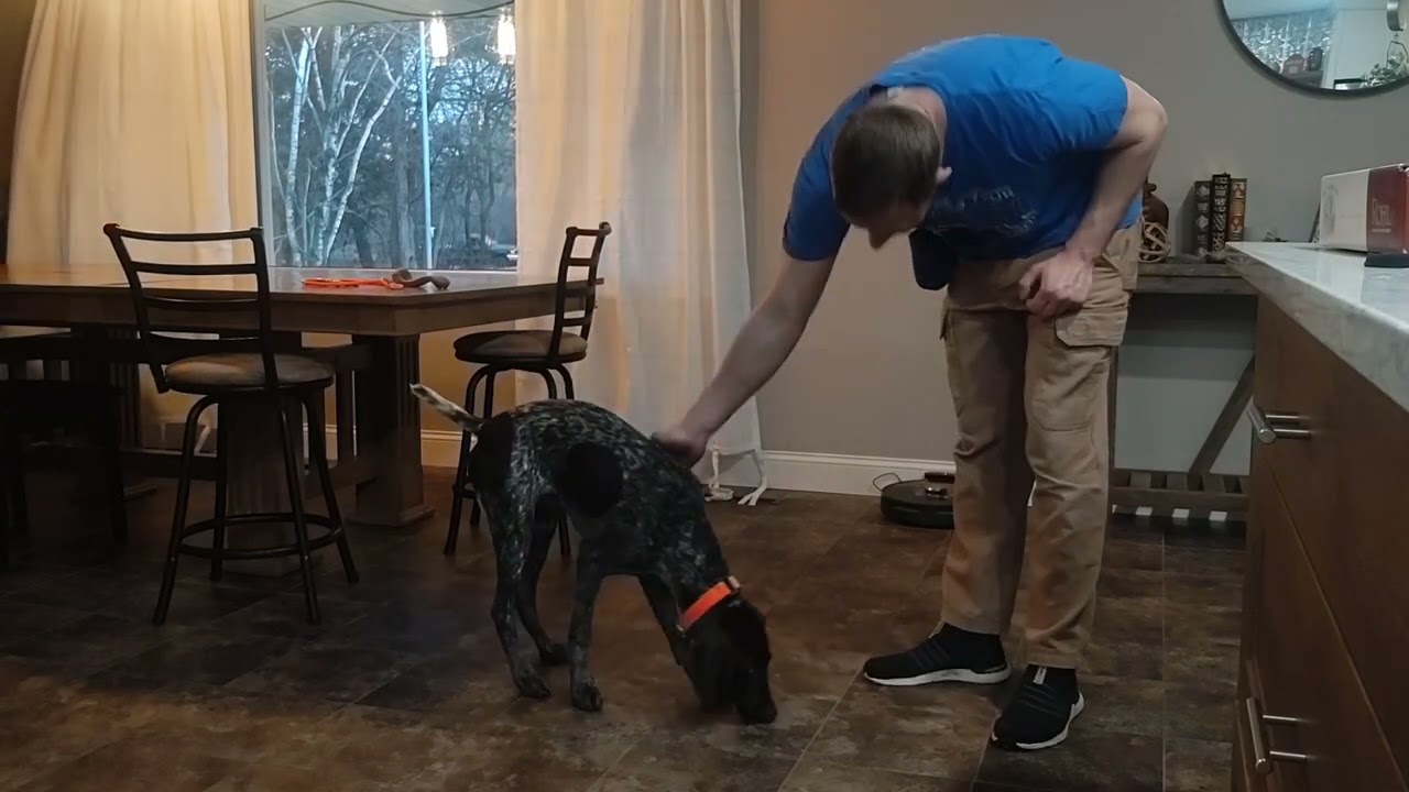 clicker woah training