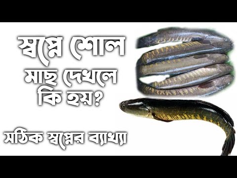 ভিডিও: স্ত্রী এবং পুরুষের স্বপ্নে মাছি কেন স্বপ্ন দেখে?