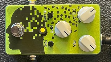 Mad Bean Degenerator Delay Pedal
