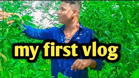 MY FIRST VLOG || my first vlog ❣️  #myfirstvlog #village #my #first #vlog #mystery #status #viral 