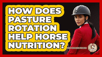How Does Pasture Rotation Help Horse Nutrition? - The Horses Stable