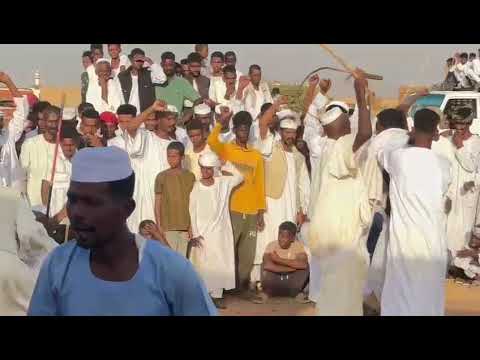 هاشم ود ربوب أجمل حفلة 2026 اغاني سودانية 2026 الغزال الاسمر ودحسان