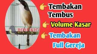 CENDET TEMBAKAN SUPER GEREJA SADIS